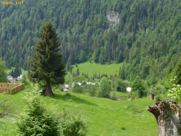 Peisaje - Un peisaj pitoresc