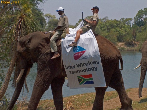 Reclame - Tehnologie wireless