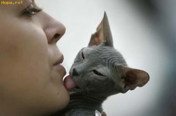 Animale - Un pupic pe botic