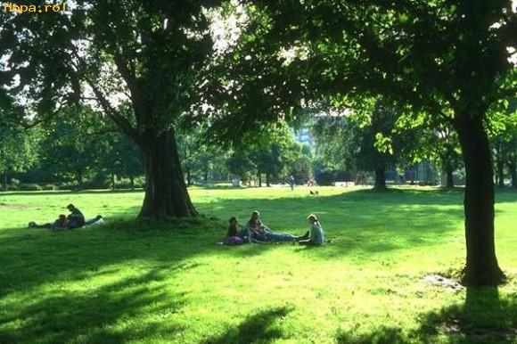 Peisaje - In parc