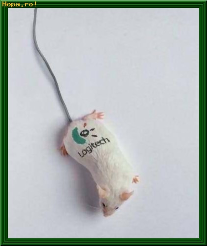 Animale - Mouse Logitech