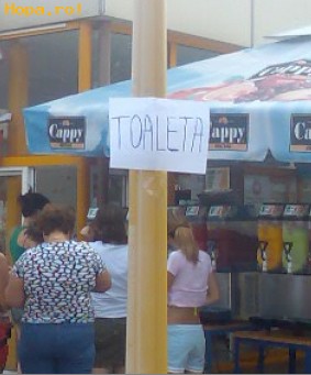 Anunturi - Toaleta pentru caini