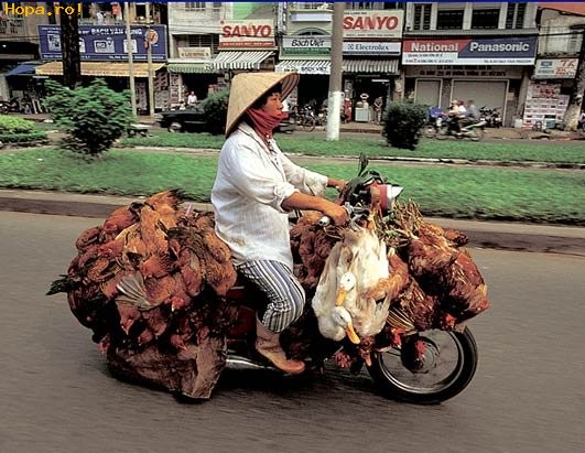 Auto Moto - Facem o friptura ?