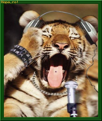 Animale - Tiger DJ