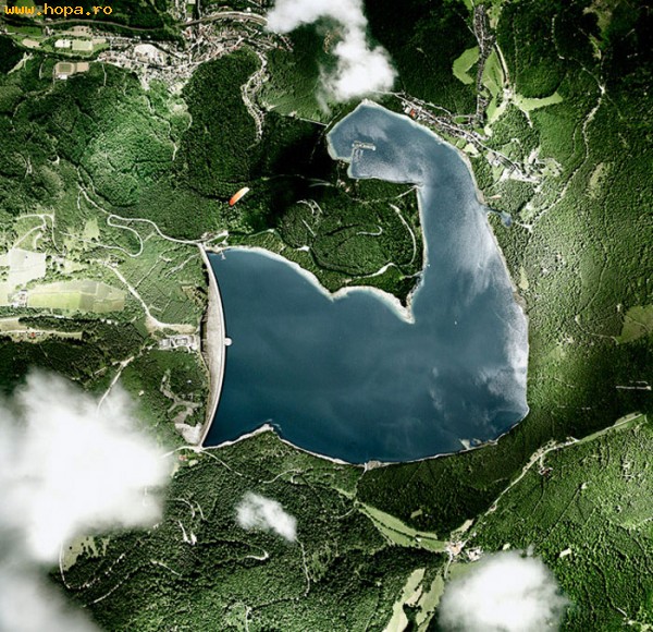 Diverse - Lac cu muschi
