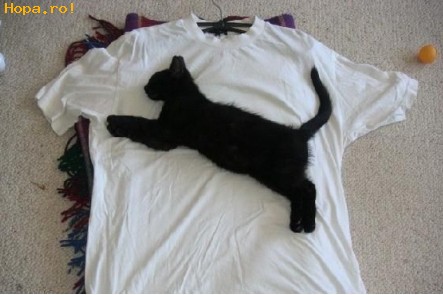 Diverse - Original tricou