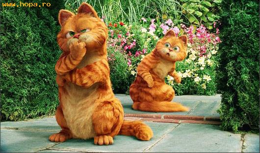 Diverse - Garfield !