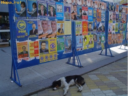 Din Romania - Cainele de paza al democratiei