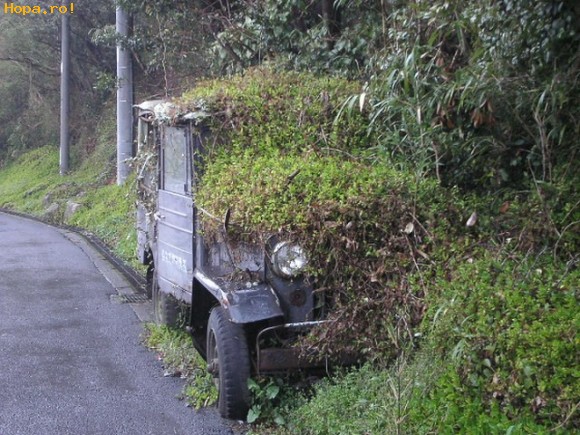 Auto Moto - A platit parcarea?