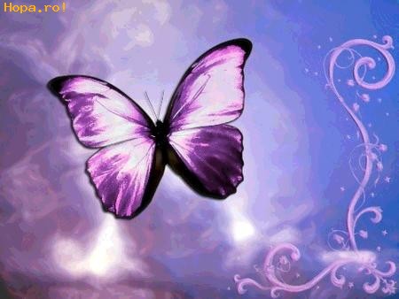 Artistice - Fluture mov