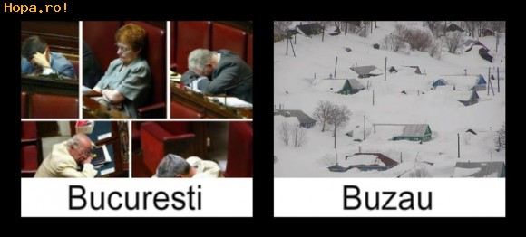 Diverse - Bucuresti - Buzau