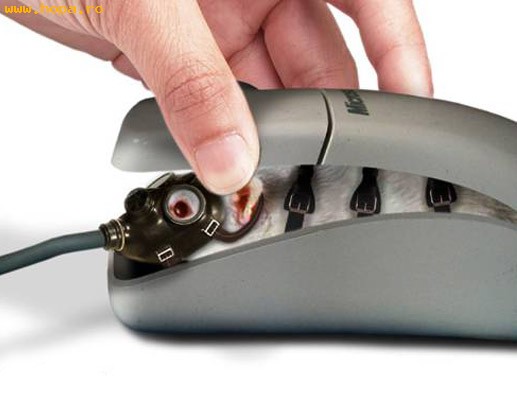 Animale - mouse inside