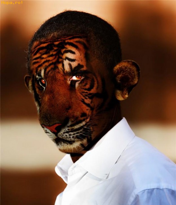 Celebritati - Obama the tiger