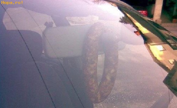 Din Romania - Odorizant de... Plescoi 