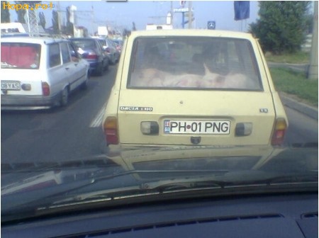 Auto Moto - O masina plina de porci