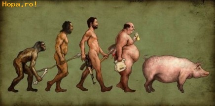 Diverse - Evolutia omului