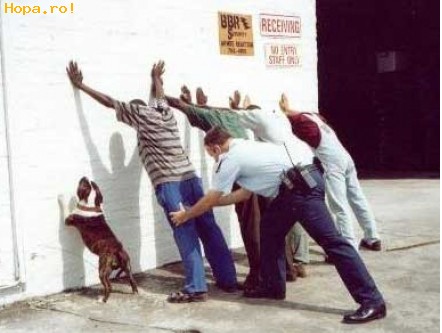 Diverse - Mainele sus