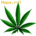 Avatare - Marijuana