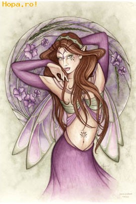 Fantasy - Zana mov