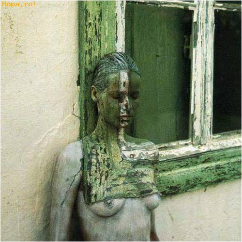 Sexoase - Camuflaj