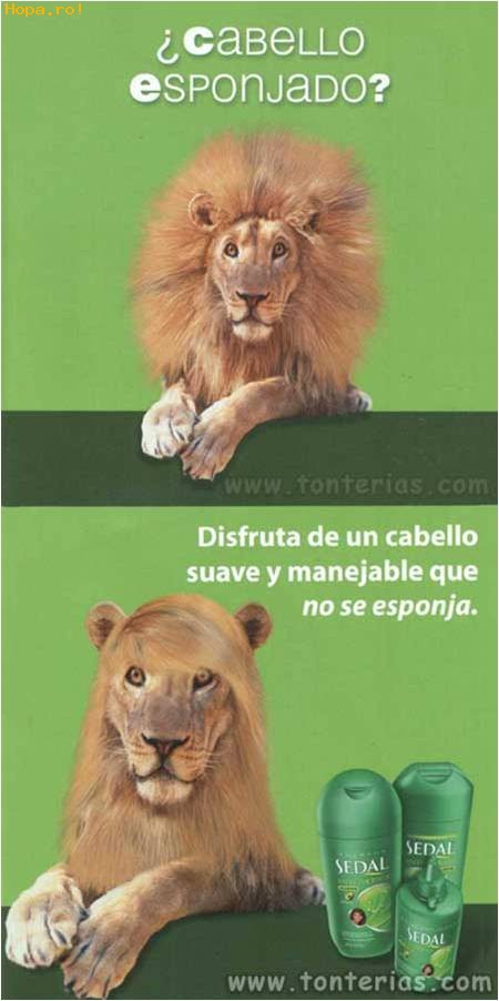 Reclame - Sedal