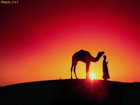 Artistice - Apus de soatre in desert