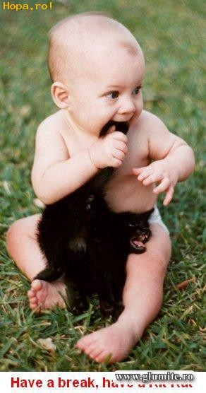 Animale - Scobitoare animala =))