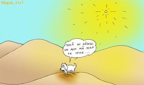 Caricaturi - Cainele in desert