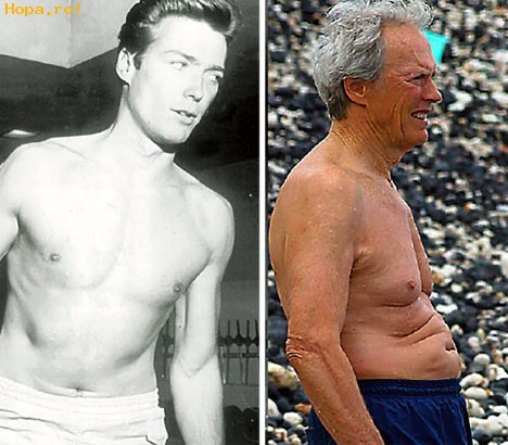 Animale - Clint Eastwood