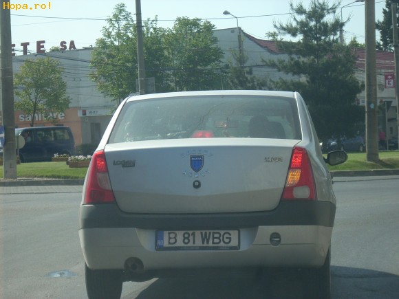 Animale - Cocalar in trafic