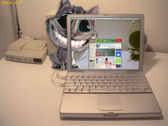 Calculatoare - Desktop zambicios