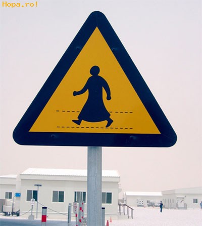 Ciudate - Atentie cine poate traversa strada!