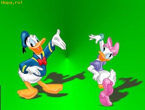 Desene animate - Donald si Daisy