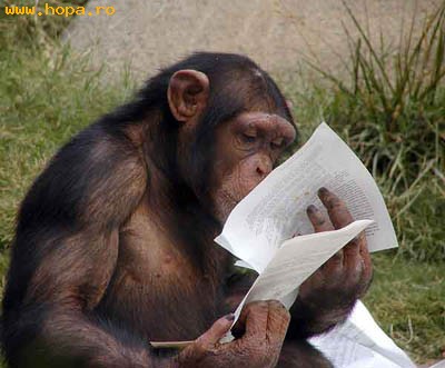 Animale - Unde zici ca scria despre noi???