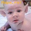 Avatare - Micul porcusor