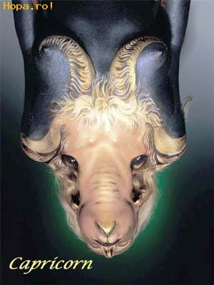 Horoscop - Capricorn1