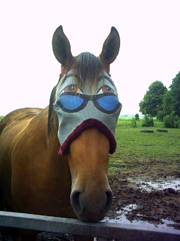 Animale - Ochelari
