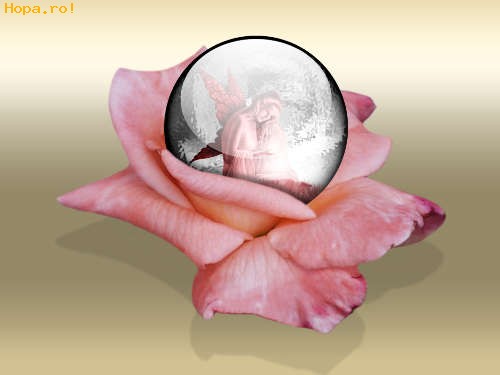 Artistice - Delicatete