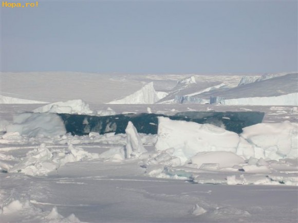 Artistice - Antarctica