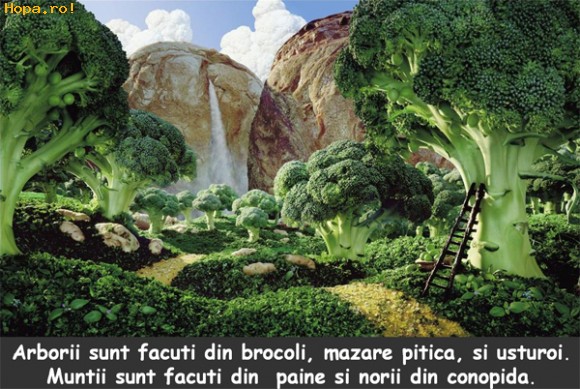 Artistice - Peisaj din legume, conopida, paine, mazare