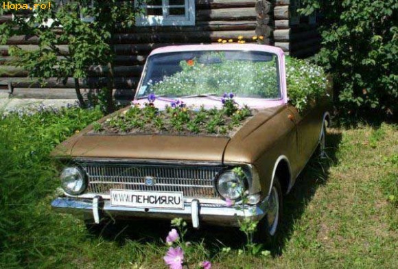 Auto Moto - Masina pentru decor