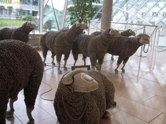 Animale - Mioare fixe