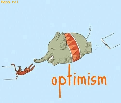 Animale - Optimism