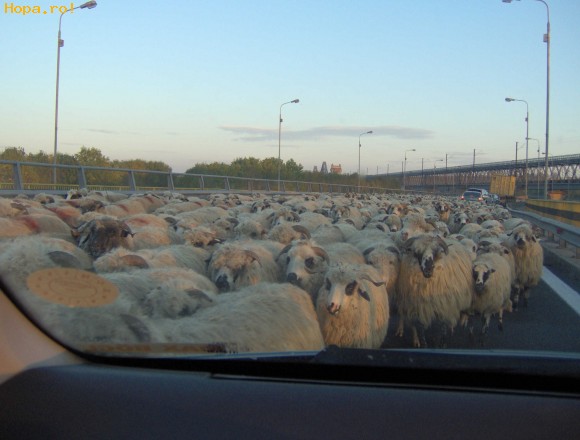 Din Romania - Trafic pe A2