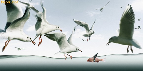 Animale - Sistem de protectie
