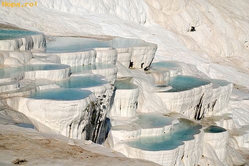 Artistice - Piscine naturale