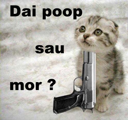 Animale - Poop me