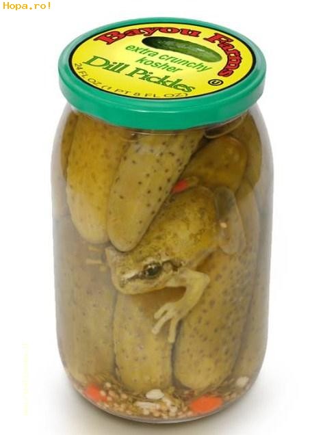 Ciudate - Broscuta la borcan