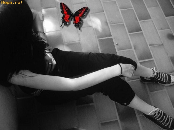 EMO - Fluture