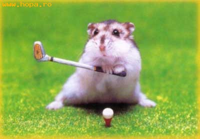 Animale - Jucator de golf